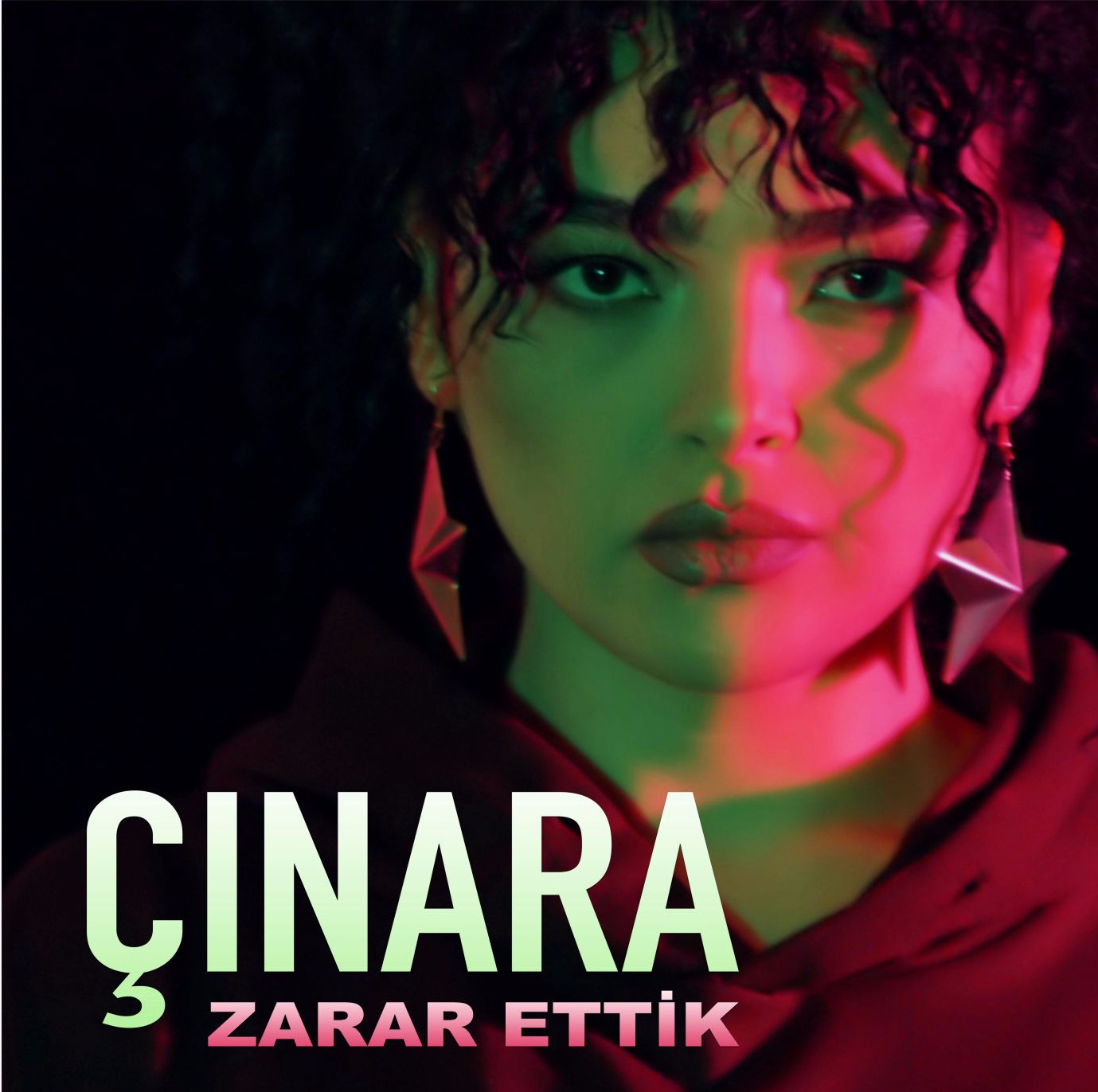 Çınara Albümü Zarar Ettik Müzik Ölmez Yapıtı